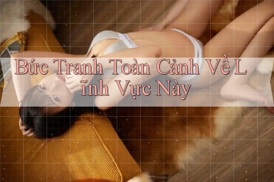 Bức Tranh Toàn Cảnh Về Lĩnh Vực Này