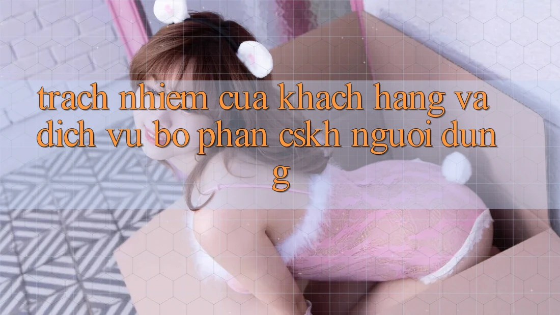 Trách Nhiệm Của Khách hàng Và Dịch Vụ Bộ phận CSKH Người dùng Trách Nhiệm Của Khách hàng Và Dịch Vụ Bộ phận CSKH Người dùng