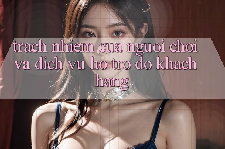 Trách Nhiệm Của Người Chơi Và Dịch Vụ Hỗ trợ đỡ Khách Hàng