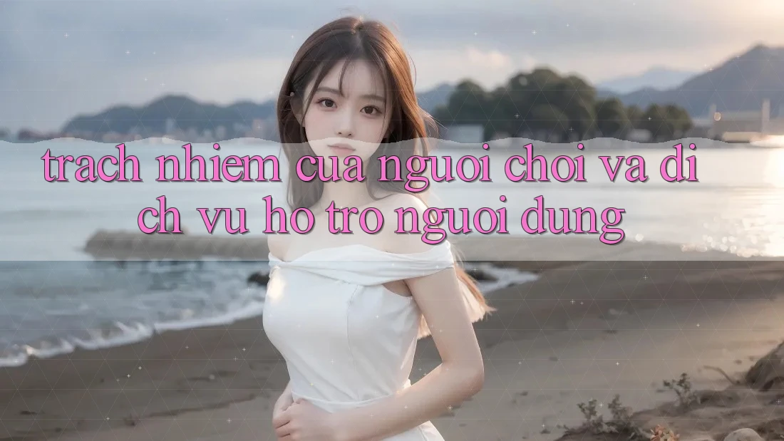 Trách Nhiệm Của Người Chơi Và Dịch Vụ Hỗ trợ Người dùng