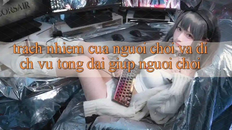 Trách Nhiệm Của Người Chơi Và Dịch Vụ Tổng đài giúp Người chơi