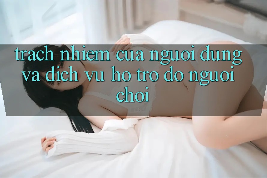 Trách Nhiệm Của Người dùng Và Dịch Vụ Hỗ trợ đỡ Người chơi