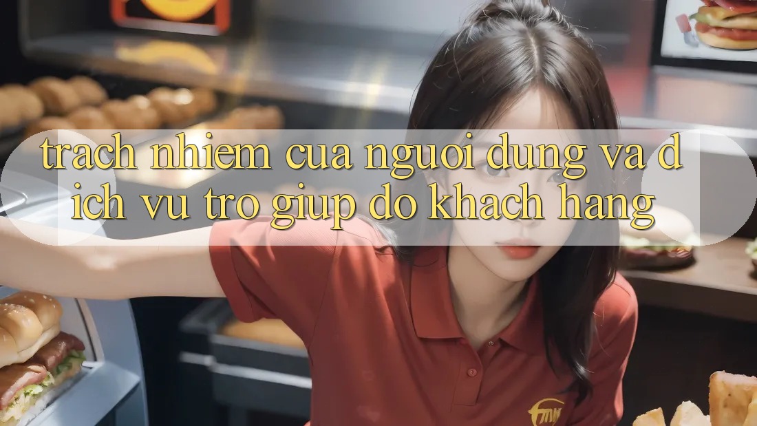 Trách Nhiệm Của Người dùng Và Dịch Vụ Trợ giúp đỡ Khách Hàng