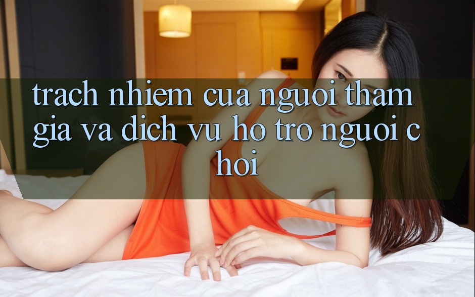 Trách Nhiệm Của Người tham gia Và Dịch Vụ Hỗ trợ Người chơi