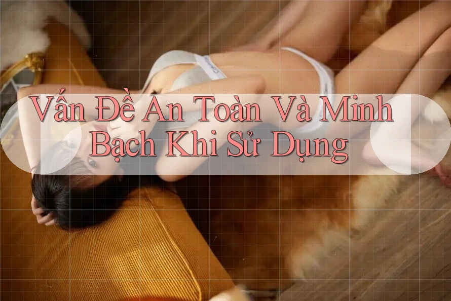 Vấn Đề An Toàn Và Minh Bạch Khi Sử Dụng